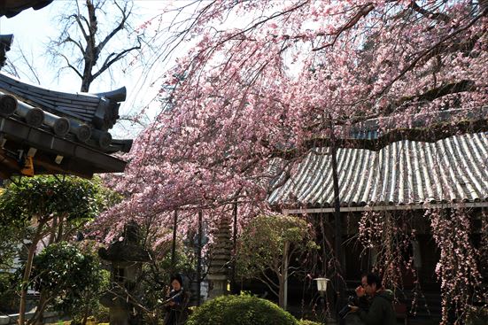 R_20170405SLJP2293.jpg