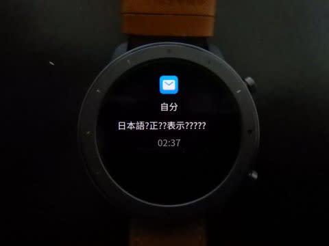 Amazon - Amazfit GTR 4 画面カバー 替ベルト付の+bonfanti.com.br