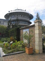 ガーデンミュージアム比叡 秋のバラも咲き誇る園内 琵琶湖を望みながらのランチタイム ネコのミモロのjapan Travel ｍｉｍｏｒｏ ｔｈｅ ｃａｔ Japan Travel