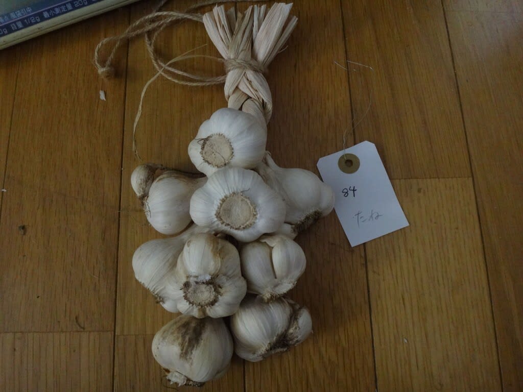 2022/07/24三つ編みにんにく84 garlic-blaid