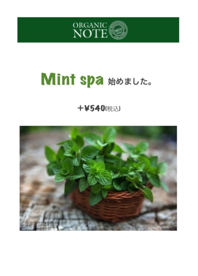 Mint spaとは… - 姉妹で営む美容室 Rote Roze加須店