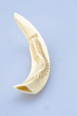 猪の牙 Paikaji Walker 猪の牙 Paikaji Walker