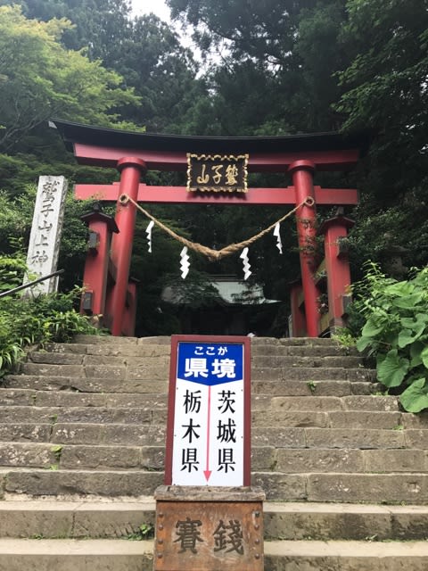 フクロウ神社 鷲子山上神社 茨城栃木県 猫兄弟とスポット