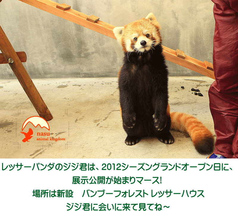 12年2月のブログ記事一覧 那須どうぶつ王国 Official Blog