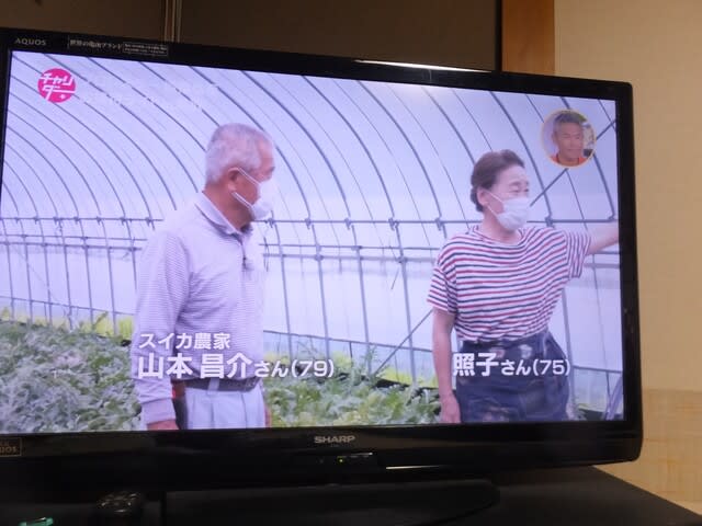 故郷鳥取の放映に釘づけ ゆみちゃんの３６５日