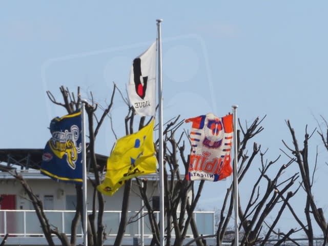 強風でなびくザスパクサツ群馬とアルビレックス新潟の旗