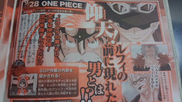 One Piece 第663話 ルフィ驚愕 エースの意志を継ぐ男 蝶の迷宮 再装填奇譚