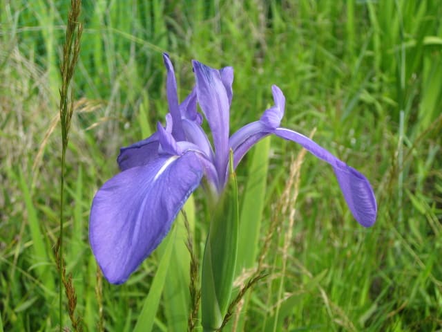 Img_0862 Img_0862