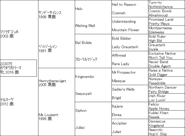 土曜のボツ予想 緊張 緩和の好配合 血は水よりも濃し 望田潤の競馬blog 土曜のボツ予想 緊張 緩和の好配合 血は水よりも濃し 望田潤の競馬blog