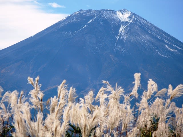 富士山とすすき 気まぐれレポートあれこれ