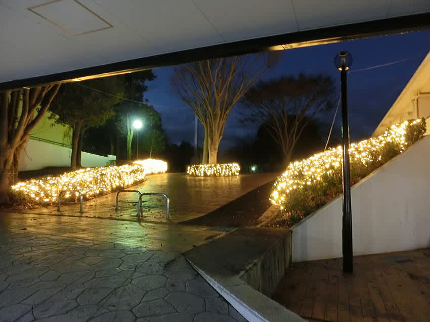 お菓子のアトリエリリス さんでケーキとシュークリーム 茨城県水戸市双葉台 おやじボクサー もう54歳の ため息 10戦無敗ブログ ココロは3 11で停まったままの眼前の 津波