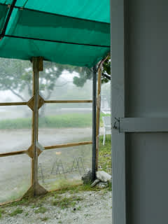 暇な土曜日を襲う スコール ランギロア 南の島の写真館は10月で閉店しました