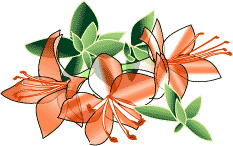 Tezco イラスト サツキ こんな ステキなイラストあったの忘れていました Yosigamo Sakura の いけ花ガーデニング 緑 風 陽 と 花イラスト