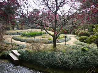 稲美町中央公園・万葉の森の写真