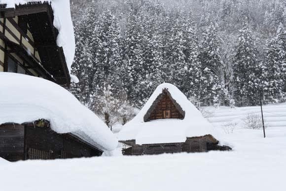 冬の五箇山 合掌づくりの民宿で 雪の世界遺産 を満喫 とし坊のお祭り三昧