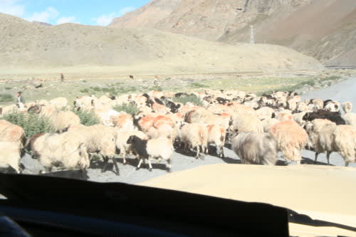 西チベット