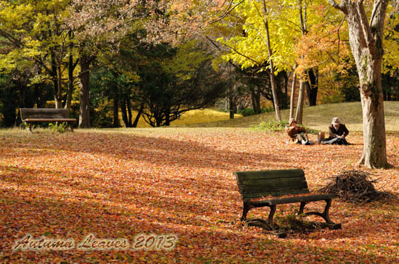 DSC_8506_陽だまりの老夫婦.jpg