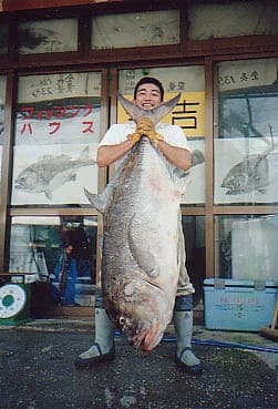 宮古島の巨魚伝説 きょろきょろ宮古島