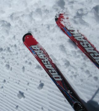 いろんなスキーを履いてみた - 徒然スキーヤー日記