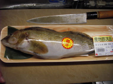 ８１０ アイナメ薄造り 芳賀ちゃんのオサカナ釣題 酒 肴 料理 釣り