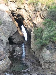 お庭からの景色
