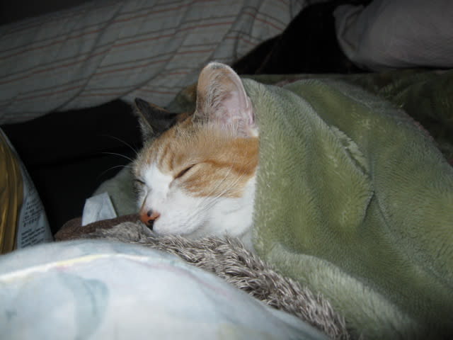 zzz