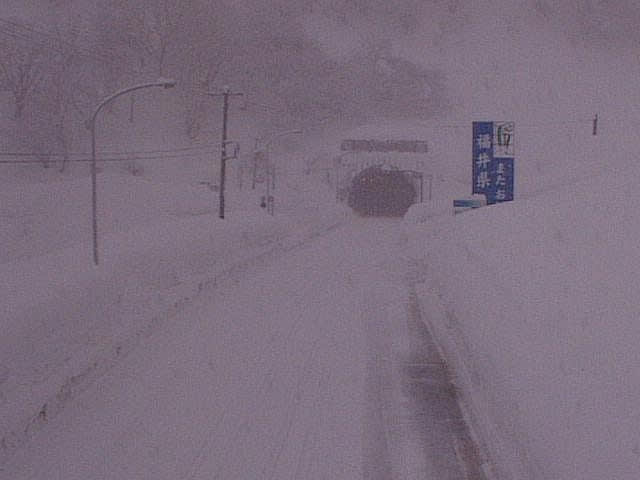 晴耕雪読、蛍の光窓の雪と言うけれど。 東山いこいの森の仙人