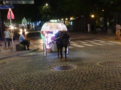 ミョンドン　チョンゲチョン　観光馬車