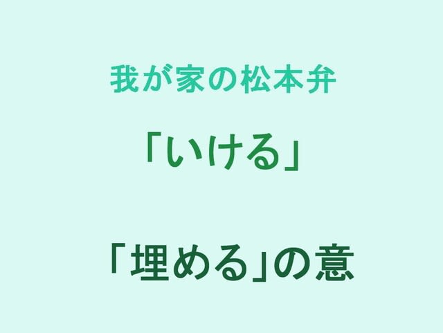 我が家の松本弁　「いける」