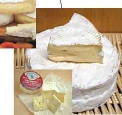 第四回 カマンベールとブリーの違い オーストラリア中心でチーズを食べる