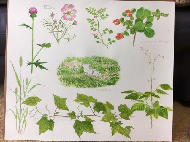 秋の新作 メーメー植物図鑑 マンガ家高橋陽子の 頑張りましたねタカハシさん