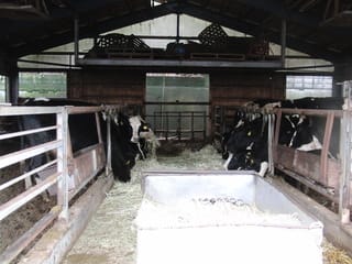 牛舎の屋根塗り替え ケレン 石井塗料ブログ