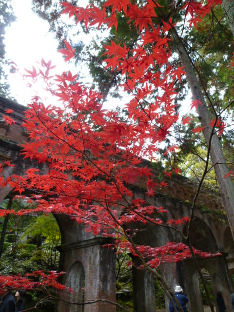 紅葉の京都・南禅寺編の画像