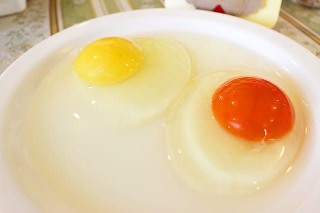 情熱卵を使った情熱一杯ランチ 情熱卵アンテナショップ Cafe Hanahana 大泉 群馬のクチコミナビ ぐんラボ 取材ブログ