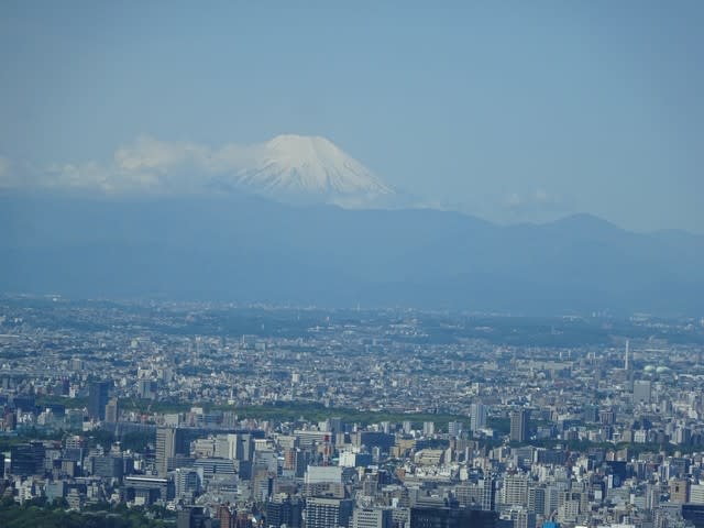 東京スカイツリーから富士山を臨む 浪漫飛行への誘 いざな い