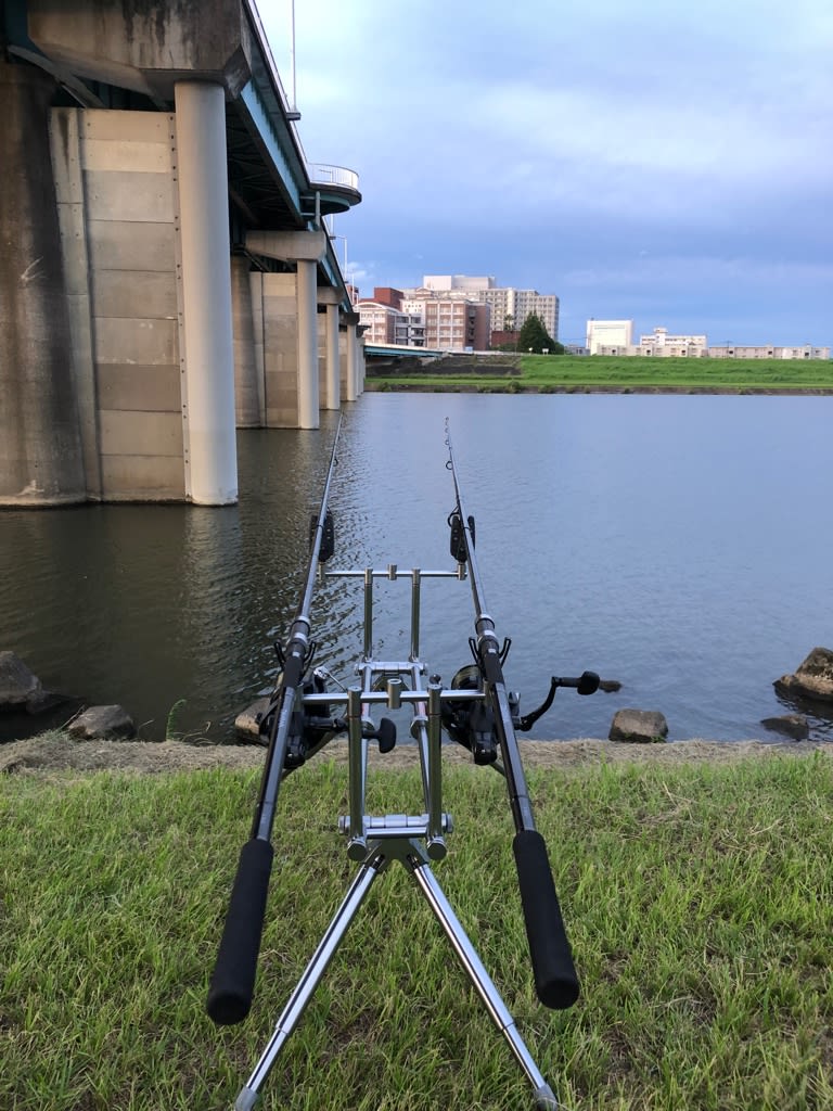 7月22日の鯉釣り - 鯉釣り三昧