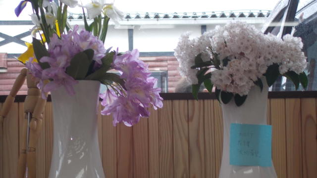 体幹リハビリの朝礼で花瓶を持ち上げ この花言葉は大きな希望です 皆でリハビリ頑張ろう 玄関先のトクサの間に雑草 いいえこれは小判草です ベルママのリハビリ日記
