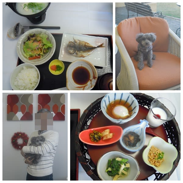 完食!
