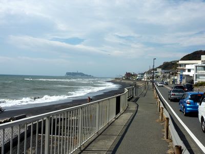 鎌倉海浜公園 坂ノ下地区 Patrichia S Walking And Driving とか