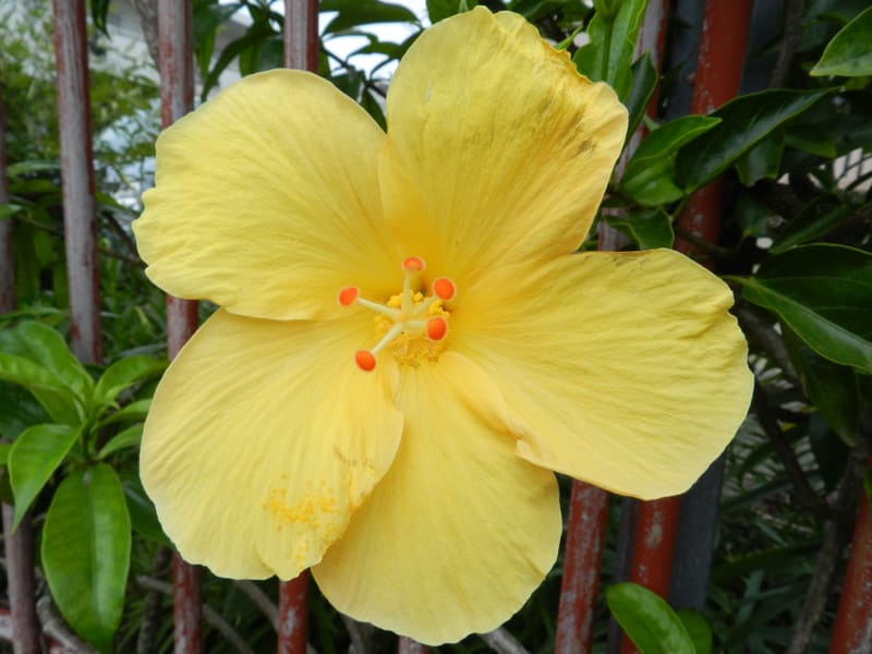 Dscn8575 Dscn8575