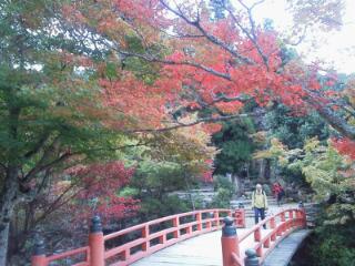 やはりこれが絶景！