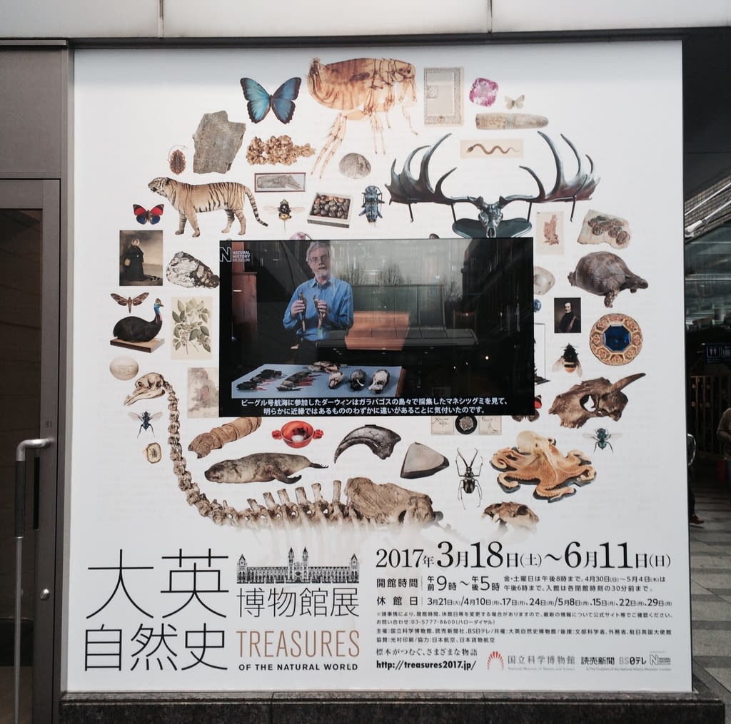 大英自然史博物館展（国立科学博物館） - 東京でカラヴァッジョ 日記