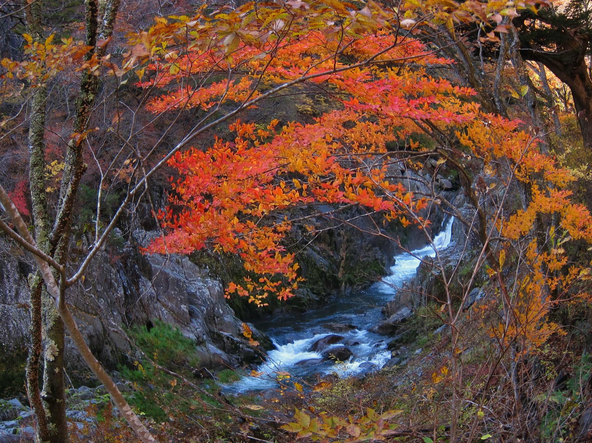 秋の籠場の滝 いわき 夏井川渓谷にて撮影 紅葉と滝 月例 フォトコン奮闘記