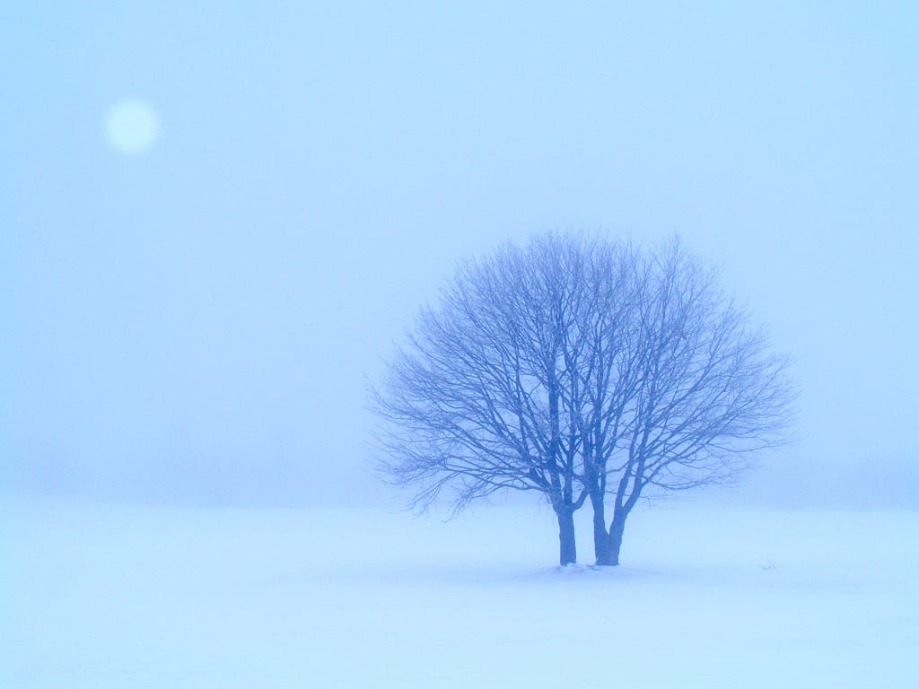 雪景色 ブログ人なんてですが