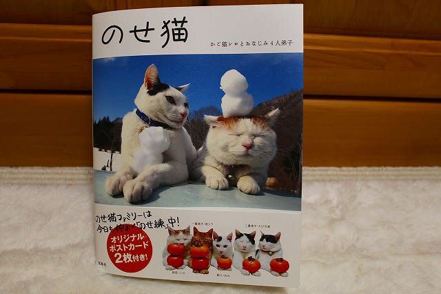 かご猫 ｂｌｏｇ さんの のせ猫 書籍にみゅう 掲載して頂きました ねことひなたぼっこ