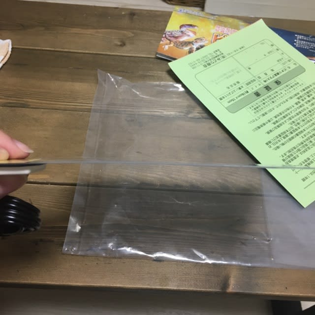 17年10月のブログ記事一覧 まるまるとオカヤドカリ