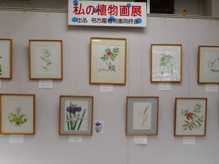 私の植物画展 - 緑化センターだより