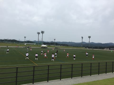 新潟 県 高校 サッカー 選手権