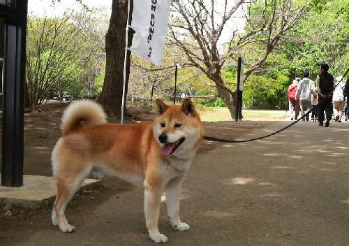 賢いフリをしてみるもんだ