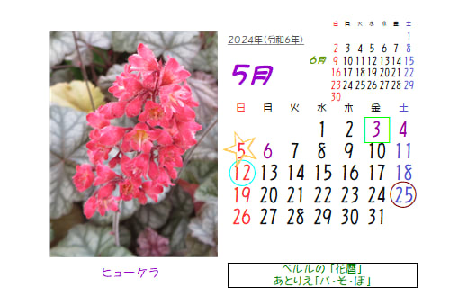 5月の花暦 Goo3